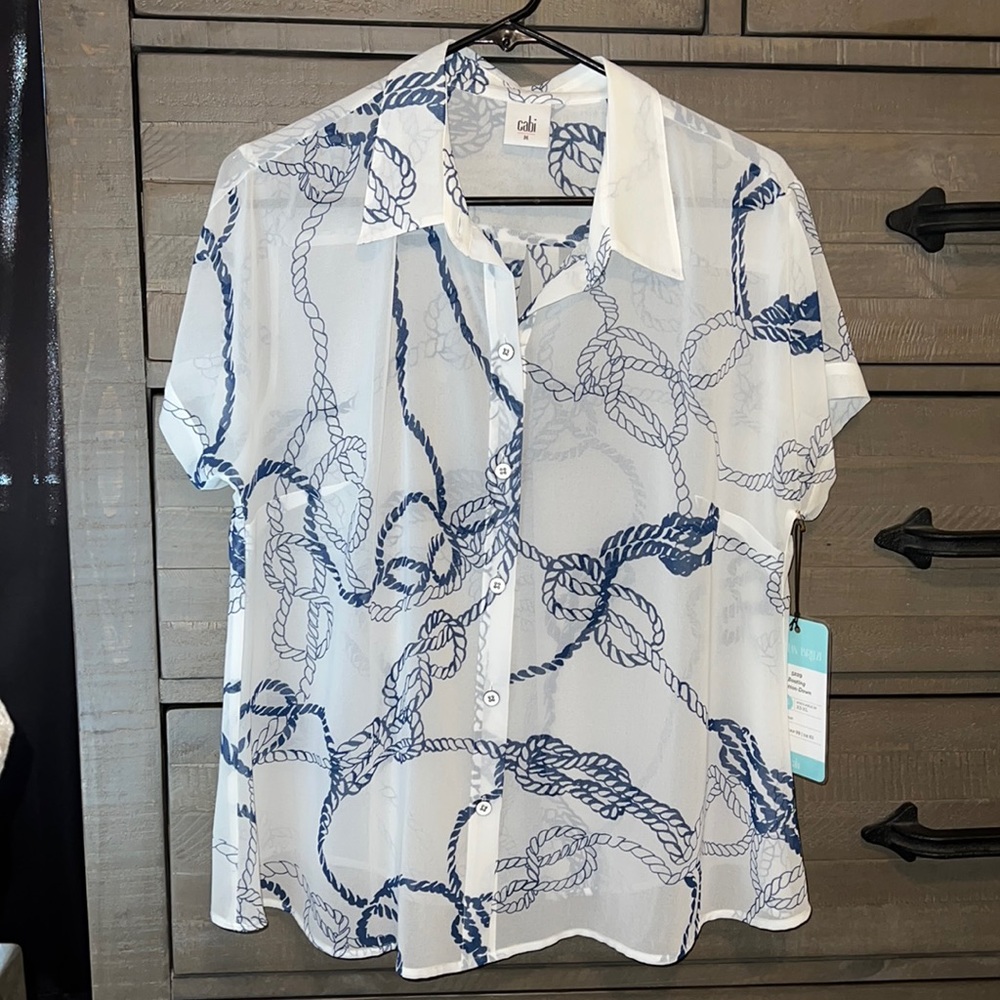 Cabi sheer top